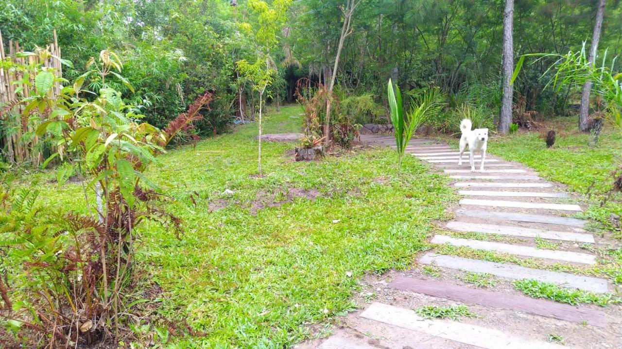 Choupana das Araucárias Sapiranga Exterior foto